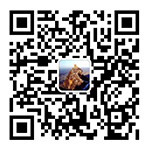 Wechat QR Code